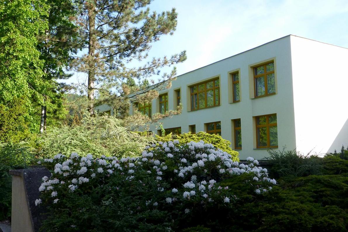 Penzion Fit Velké Losiny Buitenkant foto